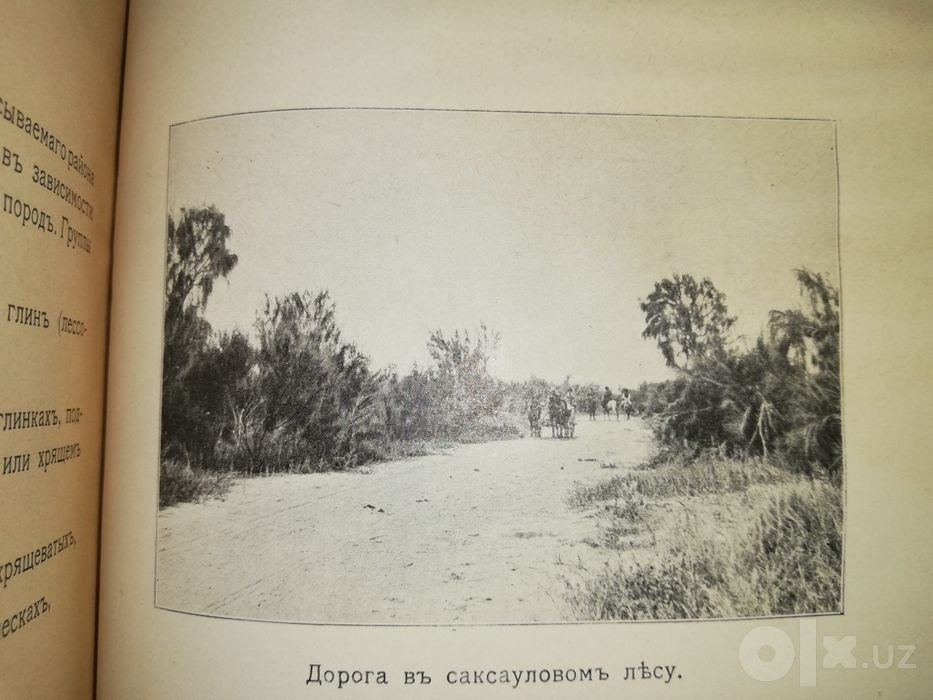 Почвы долины реки Чу.