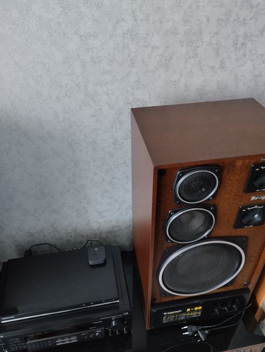 Зеркальная пара S90 с усилителем Soni