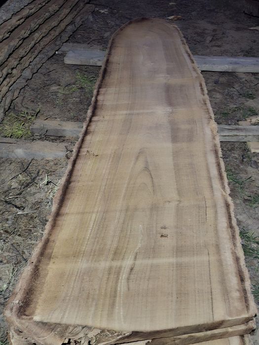 Слэбы орех торцевые спилы орех