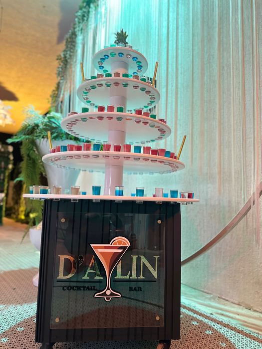 Cocktail Bar Mobil & Tort Shoturi , Dozator Bere în toată România