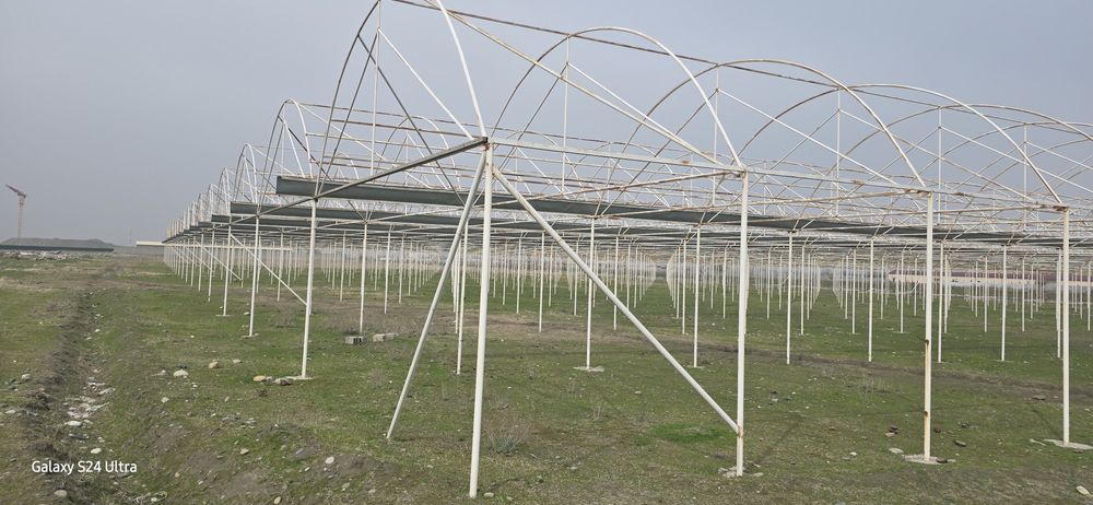 Теплица 1 га  ва теплица метал конструкциялари сотилади