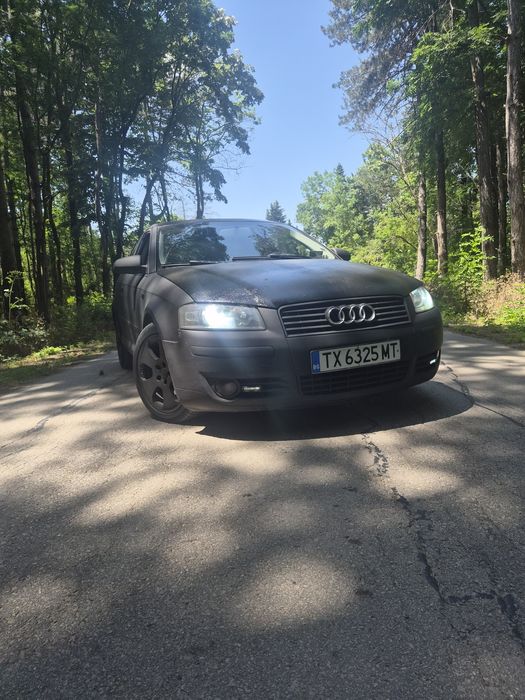 Audi A3 8p 2.0TDI
