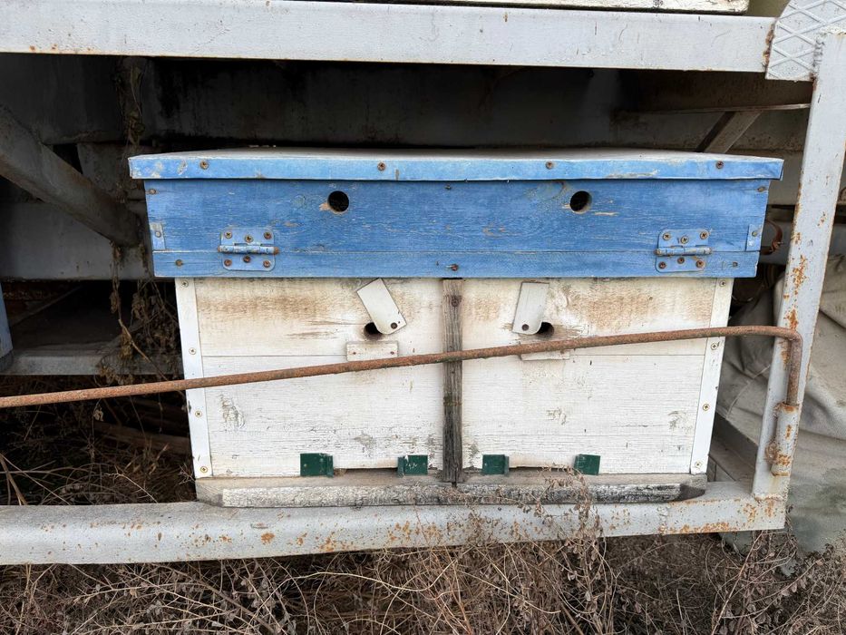 Продается пасека с прицепом