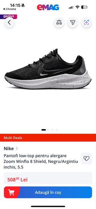 Nike Zoom Winflo 8 Shiel