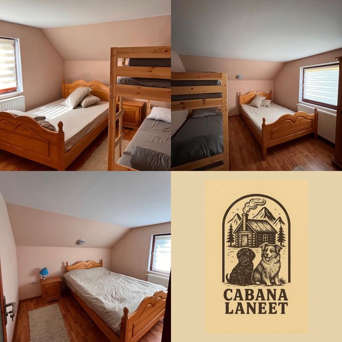 Cabana Laneet de inchiriat (Galaoaia Borzia)