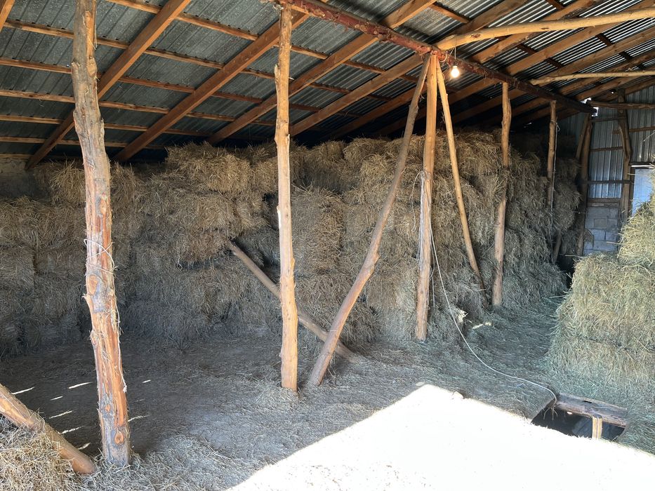 Шөп прес сатылады