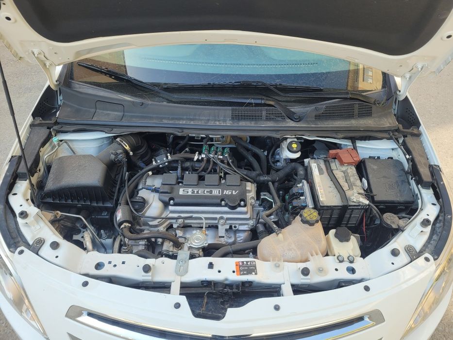 Other Cobalt 2024 — 5