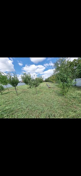 Vând 2.500 mp teren intravilan în Lugojel la 4 km de Lugoj 27€ /mp