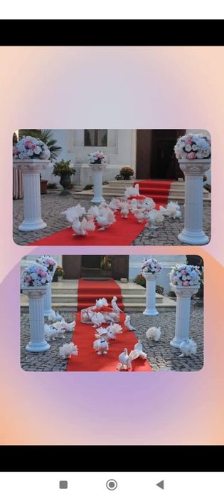 Închiriere porumbei albi pentru nunti, botezuri și alte evenimente,