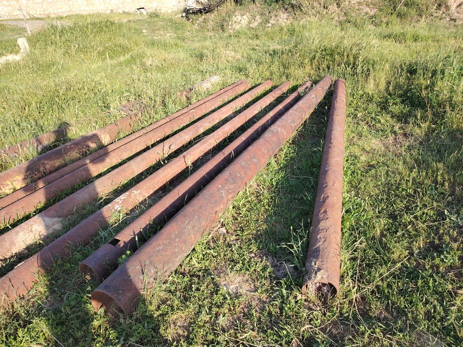 Трубалар российский