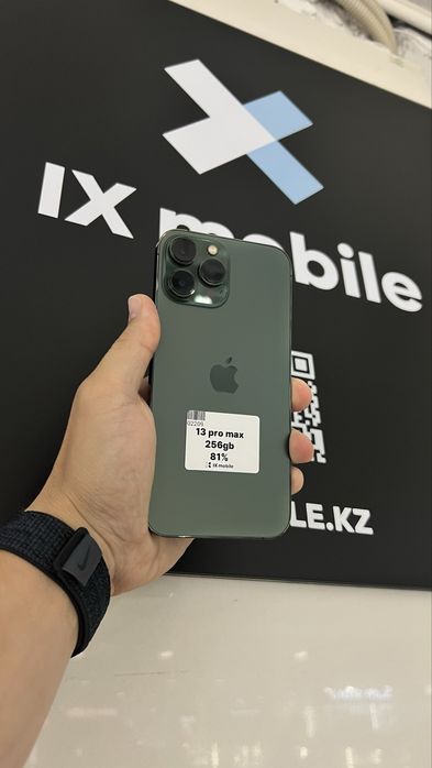 iphone 13 pro max 256 gb 81%