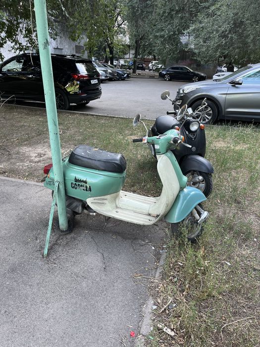 Продам honda giorno