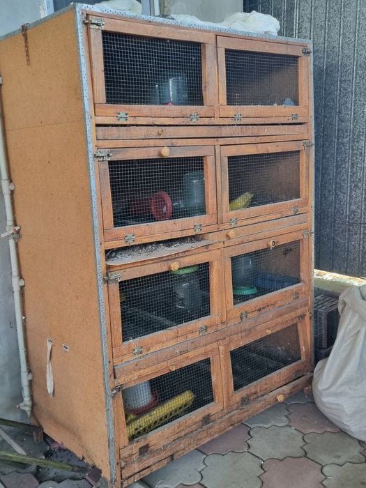 Брудеры для цыплят