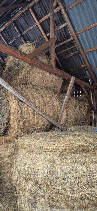 Vând baloti de lucernă coasa 2 și 3