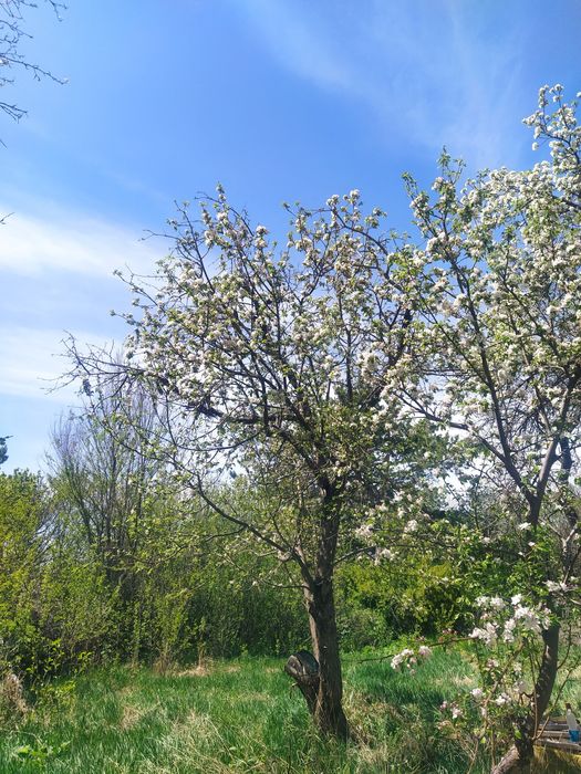 Продам дачу в обогатителе!