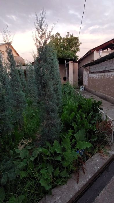 yer sotiladi 3 sotuk 35min dolir kelishamiz