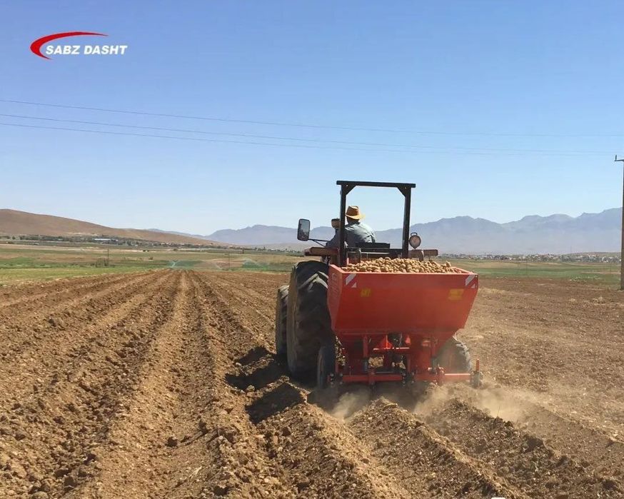 Картошка экадиган 2 каторли