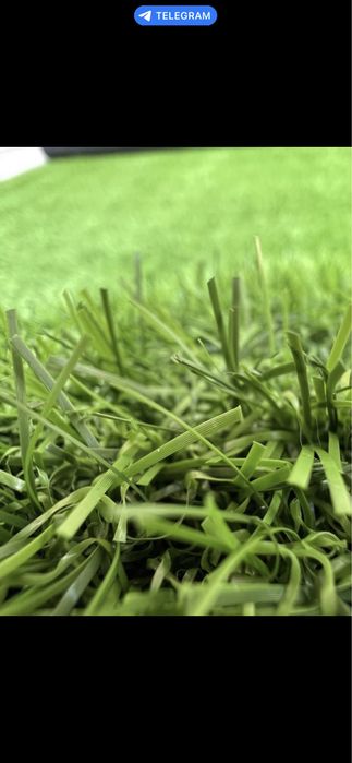 Искусственный газон