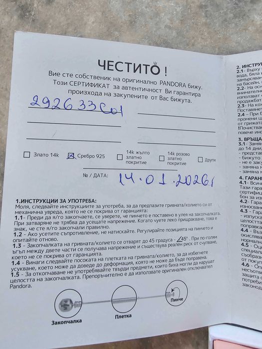 Сребърни обеци - цвете Pandora