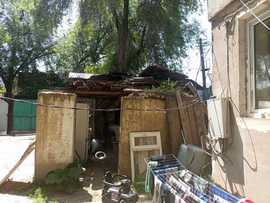 Отдам дрова бесплатно