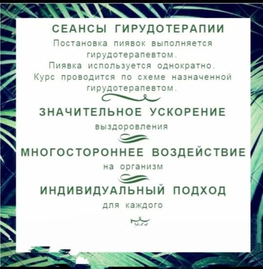 Пиявки, оздоровление