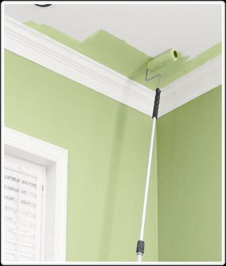Renovari professionale
