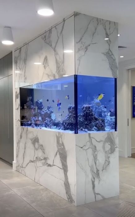 Магазин аквариумистики