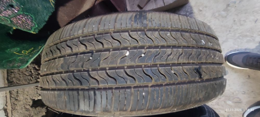 Еркебулан продам шину