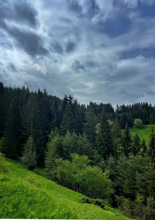 Село Лилково община Родопи