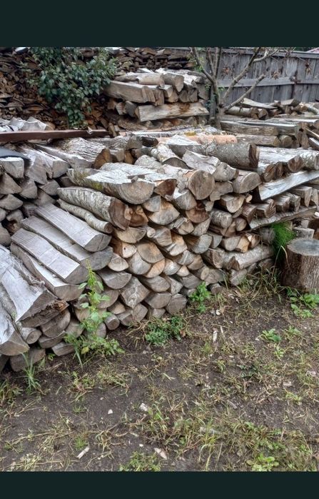 Vand lemne de foc uscat