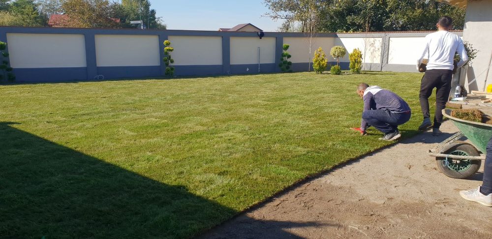 Gazon rulou + montaj