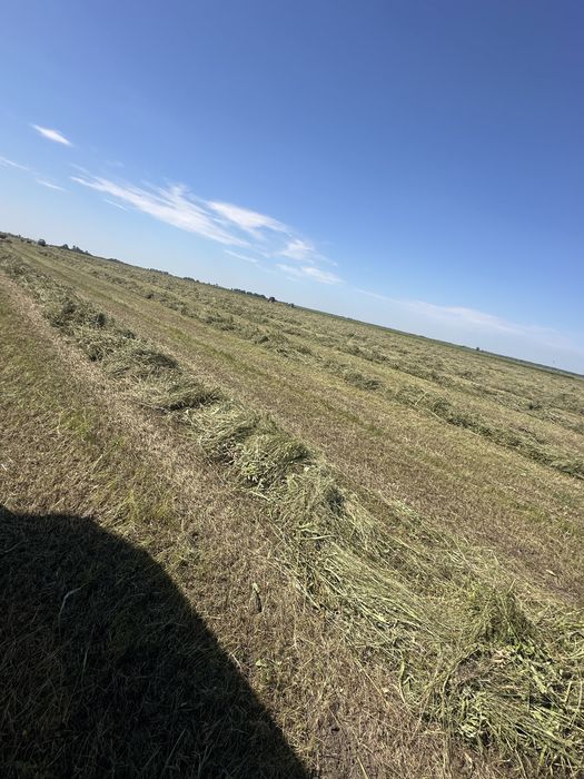 Продам сено в рулонах 200 кг