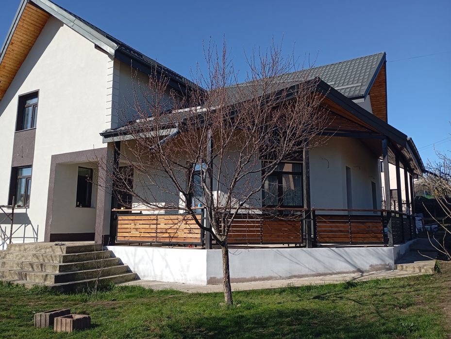 Decorativa în Iași și împrejurimi