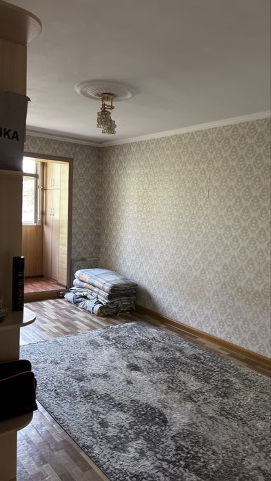 Ищу девушку на подселение