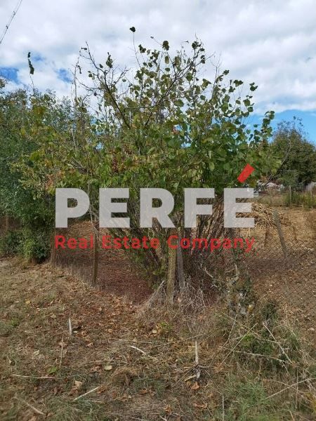 Продава се Къща в с. Бистрец, Област Бургас - 78 кв.м за 122 €/кв.м - Снимка #4