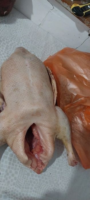 Гусиный жир продется