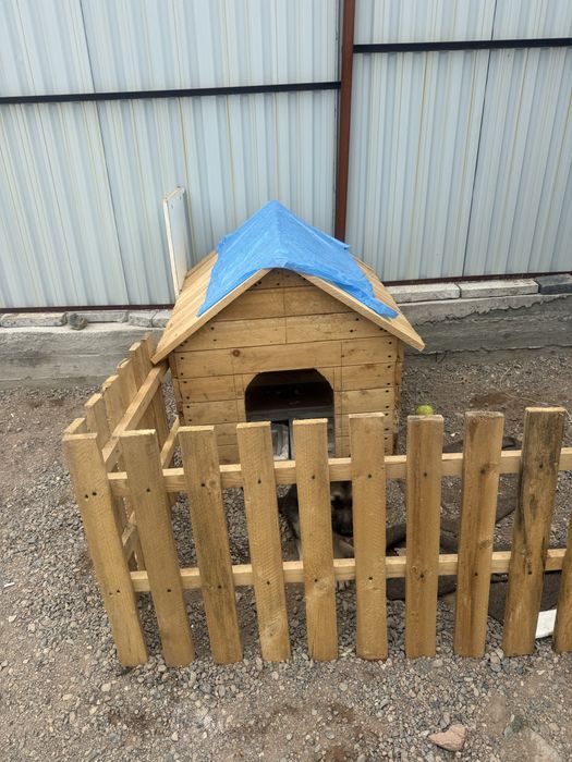 Продам щенка немецкой овчарки