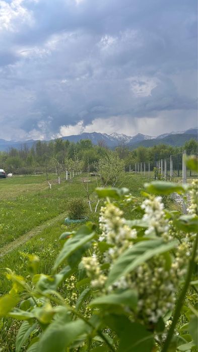 Teren intravilan Valea Avrigului , 1853 mp, construibil, vedere munți