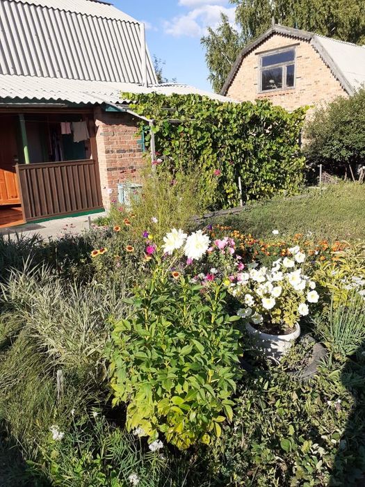 Дача в отличном состоянии с/о Самоцветы