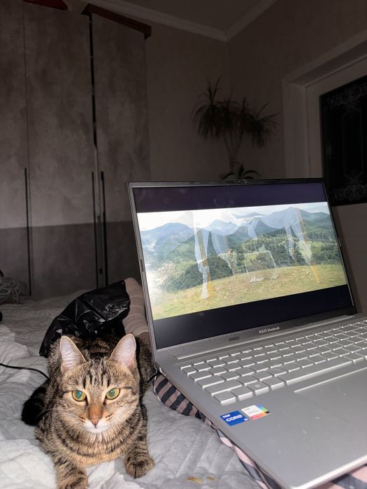 Отдаю в хорошую руку