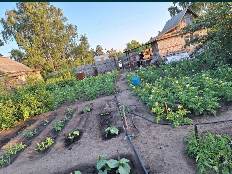 Продам дачу Автомобилист в хорошем состоянии