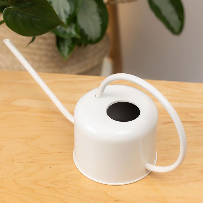 Лейка для цветов