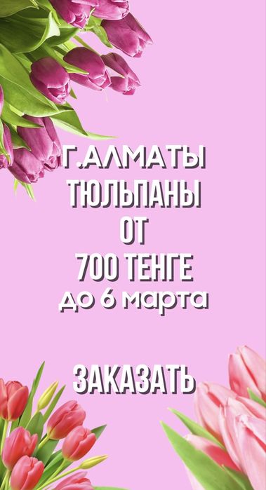 Свежие тюльпаны от 50см