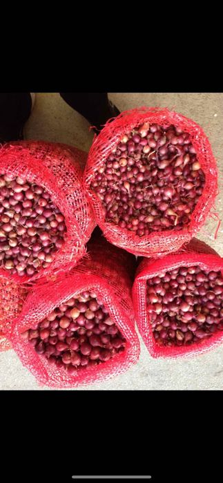 Червен арпаджик  сорт Кармен