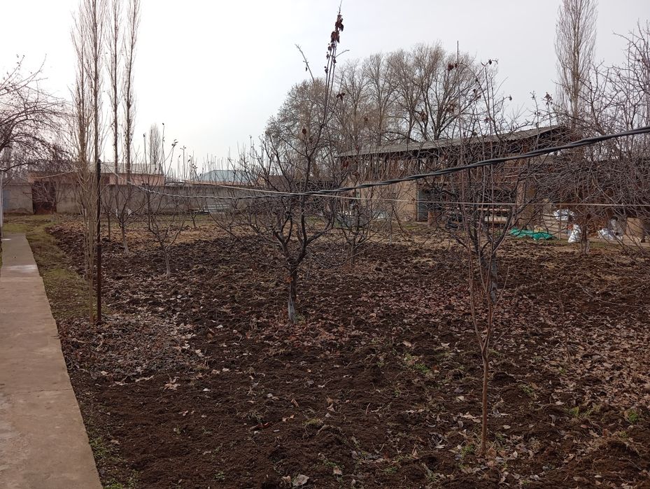 Участка Сотилади Янги Узбекистан богига Якин жойдан