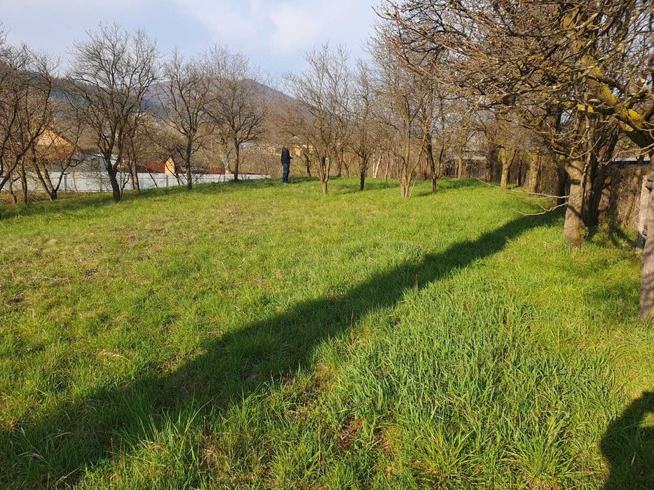 Teren(grădină) în Viișoara cu suprafața de 1800 m²