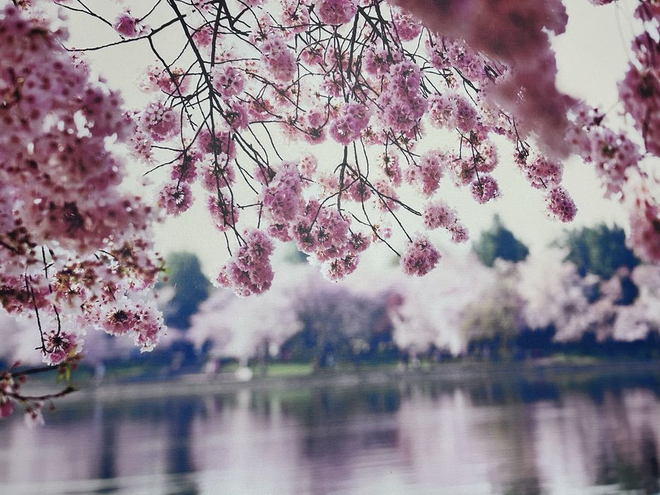 Картина 140/100см