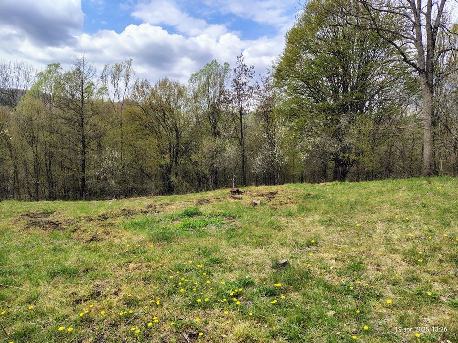 Teren Brădetu, Valea Vâlsanului - Argeș, intravilan!