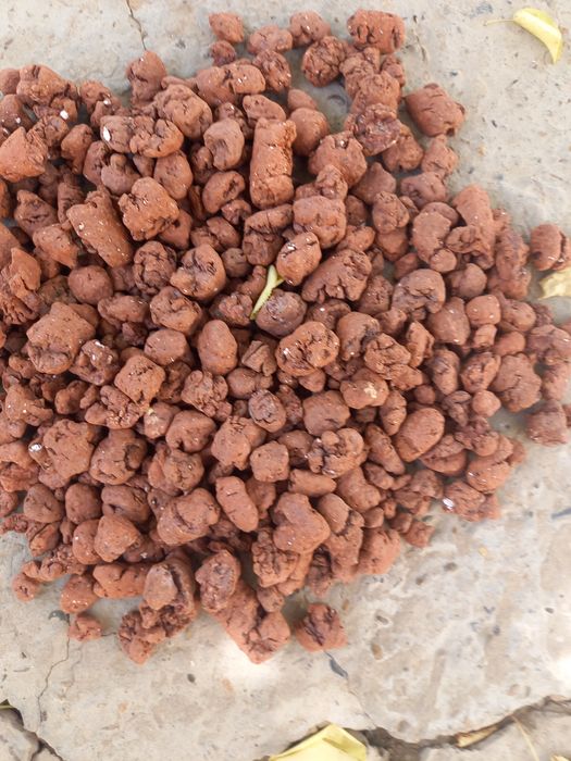 Keramzit aksiyada ulgurib qoling