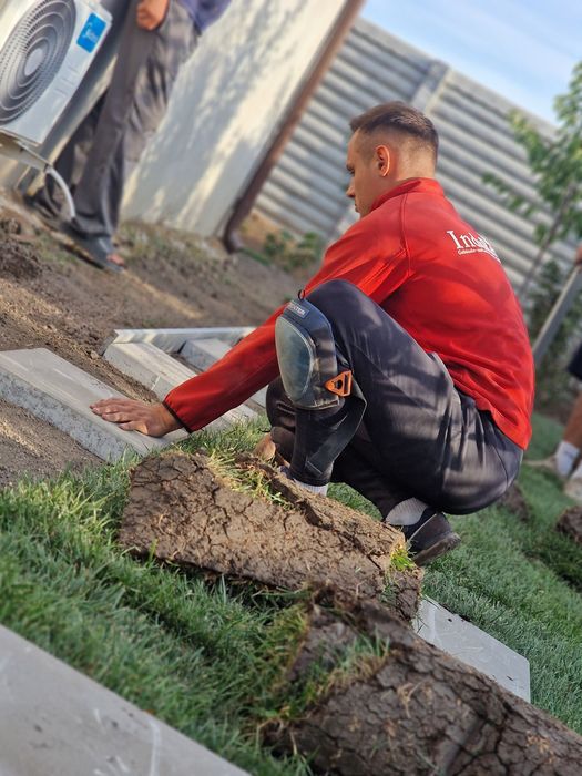 Gazon natural rulouri sau semințe